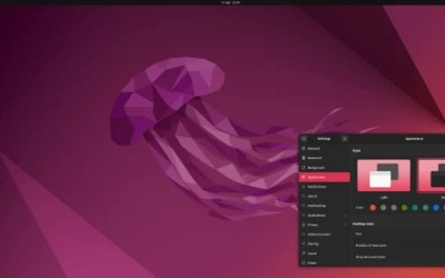 Cosa è Ubuntu