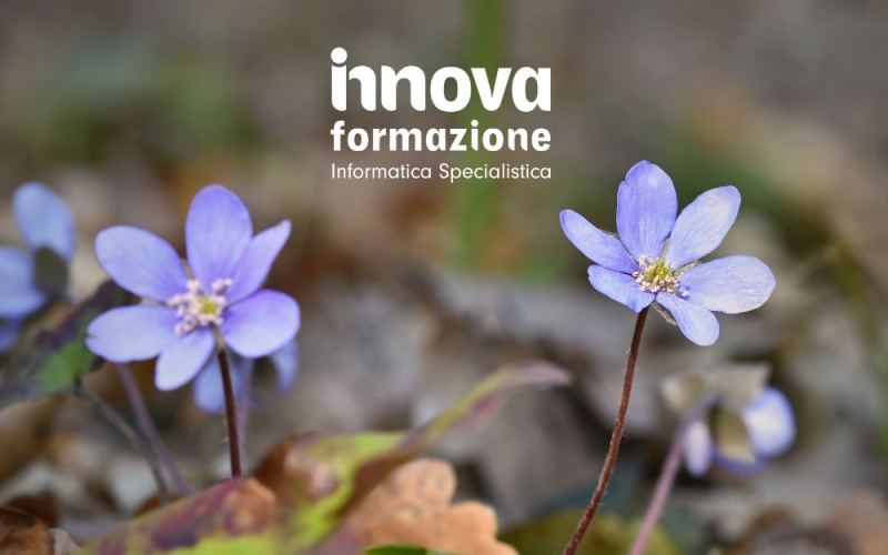 SAP Fiori 3.0