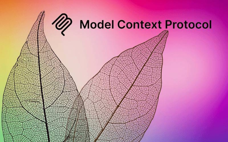 Model Context Protocol (MCP)